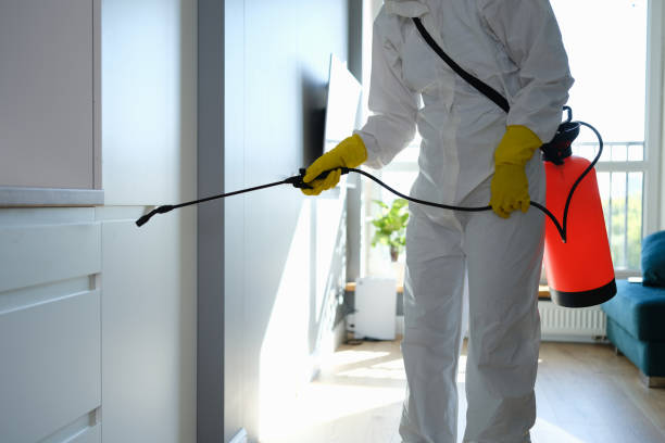 Office Mold Removal Services in Third Lake, IL