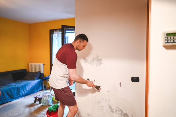Best Mold Removal Process  in Third Lake, IL